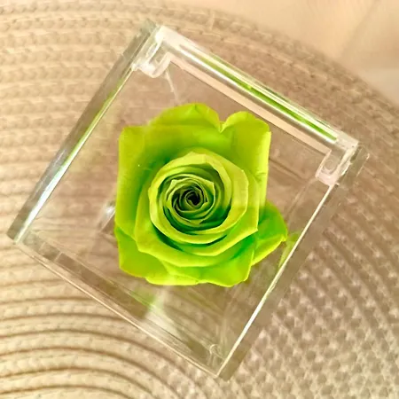 アパート Sul Corso *