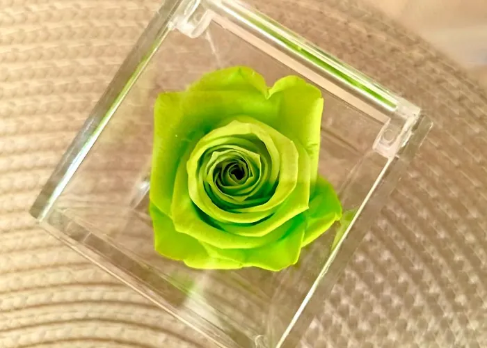 Apartamento Sul Corso *